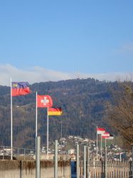 Gal 26 2 Bregenz H (3)